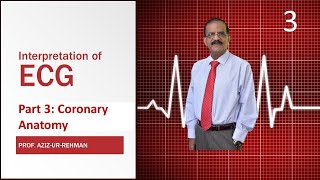 ECG Part 3 Coronary Anatomy and Pathogenesis of Infarction [upl. by Nallij]