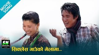 Sikles gaunko Melama  Gurung Movie  Rimai Maimesai  HD Version [upl. by Tayyebeb821]