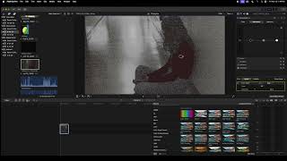 How to use a color mask in Final Cut Pro by juli [upl. by Erma]