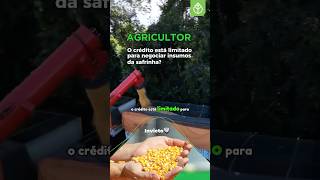 plantio produtividadenocampo safra agronegócio milho agronomica agro safrinha credito [upl. by Dnomra]