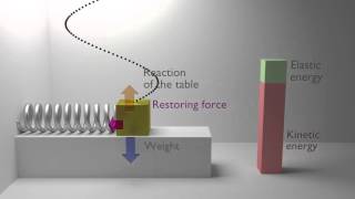 Animation of an Harmonic oscillator mechanics physics [upl. by Itirahc]