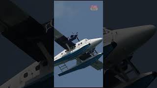 Flying Fish 🐟 Seaplane Extremely Low Pass 🛩️SUBSCRIBE🛩️ aviation planespotting maldives viral [upl. by Waugh]