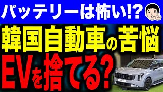 【はあ❓ボイコット忘れたの❔😠】韓国自動車市場の変化！？電気自動車に見切りをつけて大急ぎでハイブリッド車に移行！ [upl. by Sydalg]