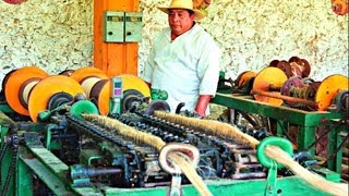 Sisal Fiber Processing  Sotuta De Peon Yucatan [upl. by Vevay]