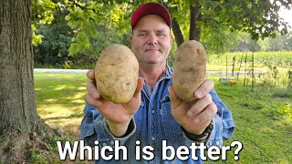 The difference between Russet and Kennebec potatoes [upl. by Enelrats28]