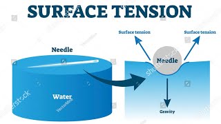 Surface Tension Explained The Basics  FLUID Mechanics [upl. by Bbor63]