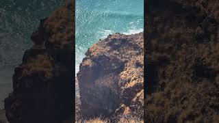 Goats spotted on cliff by ocean [upl. by Andonis]