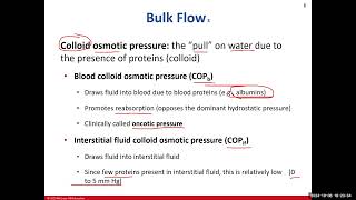 Day 10 BIO 211 720 Lecture FA2024 Circulatory System Part 2 [upl. by Giraldo]