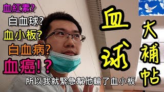 「抽血」到底在檢查什麼「貧血」在貧什麼血「血癌」又是什麼癌  值班碎碎念EP3 [upl. by Pascale]