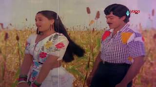 Kondaveeti Raja Movie Songs  Naa Koka Bagunda  Chiranjeevi Radha VijayaShanthi [upl. by Ratcliff]