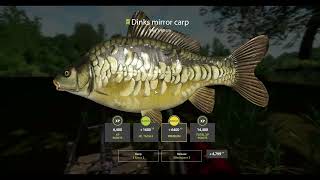 RF4 COPPER LAKE SILVER FARMING 64 FISH IN 1 HOUR 04072027 [upl. by Averill915]