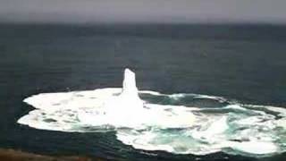 Iceberg collapses off of Signal Hill  North Trail [upl. by Hermy]