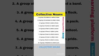 Collective Nouns  Daily use english words [upl. by Neelcaj]