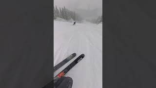 POV Skiing Riders on the storm skiing backcountryskiing [upl. by Bat]