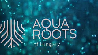 AQUA ROOTS of Hungary Dubai Expo 2020 Hungary Pavilion [upl. by Aniham423]