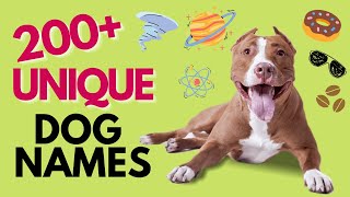 Top 200 UNIQUE Dog Names – Unisex [upl. by Nyahs]