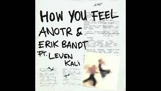 ANOTR Leven Kali Erik Bandt — How You Feel Jamek Ortega Remix [upl. by Flavio]