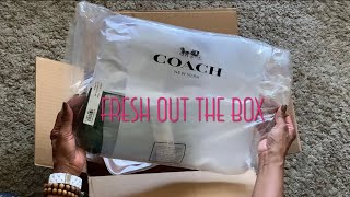 Fresh Out the Box  UNBOXING The Coach Hamptons Hobo  Mama’s Got A Brand New Bag [upl. by Ogata426]