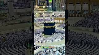 ALLAH youtubeshorts islamicislamicstatus islamicshorts [upl. by Arica]