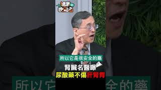 腎臟名醫曝 尿酸藥不傷肝腎胃【健康晚點名】EP32 健康晚點名 珮薰 新四高 江守山 [upl. by Norraf684]