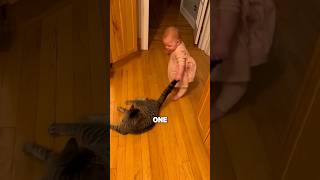 THIS INNOCENT CHILD WANTS CATS TAIL 😭🤣 CATIMO VIRAL SHORTS shortsviral [upl. by Anecuza]