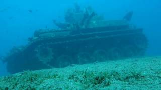 Jordanien Akaba schnorcheln Panzer Tala Bay  Jordan Aqaba snorkeling Tank 5 m deep [upl. by Nyved]