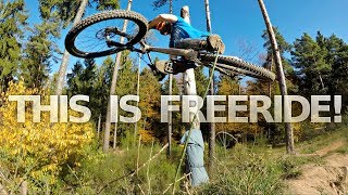 THIS IS FREERIDE  BIKEPARK TRIPPSTADT RAW [upl. by Dranek145]