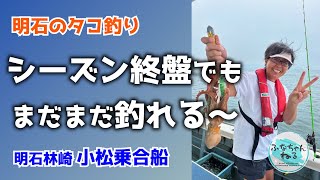 【明石タコ釣り】8月大潮回り（15日潮）シーズン終盤でも好調！まだまだ狙い目！ [upl. by Oinotla]