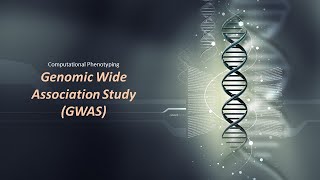 Genomic Wide Association Study [upl. by Kazim]