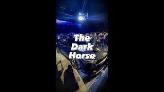 The Dark Horse latemodelresto [upl. by Asoral]