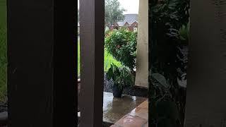 Raining 🌧️ in Weslaco Texas [upl. by Ellecrad]