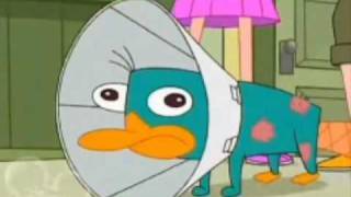 Perry The Platypus  The Platypus Song [upl. by Fedirko]