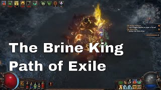 The Brine King Boss Guide Path of Exile [upl. by Ittak]