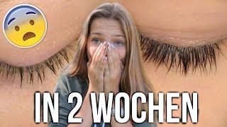 Lange WIMPERN amp AUGENBRAUEN in 2 WOCHEN – unter 2€ [upl. by Annaitsirhc]