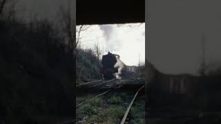 Steam locos struggling with a heavy coal train Colliery Railways Gandy Dancer Productions [upl. by Airbmat]