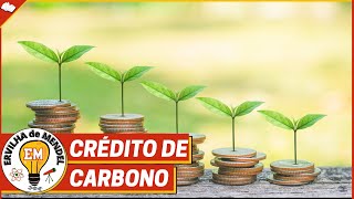 Crédito de carbono  O que é crédito de carbono   Como funciona o crédito de carbono [upl. by Schuster]