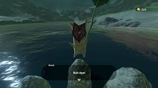 Korok seeds  Thims Bridge  Woodland Tower 1  Zelda BOTW [upl. by Vevina]