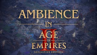 Age of Empires 2 Soundtrack Ambient Sounds Medieval Japan [upl. by Nilknarf56]