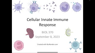 Immunology Fall 2023 Lecture 5 Cellular Innate Immunity [upl. by Edwin]