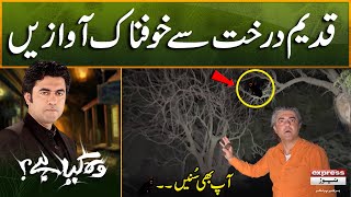 Qadeem Darakht Sy Khaufnak Awazain I Woh Kya Hai with Sajjad Saleem I 30 Nov 2024  Episode 458 [upl. by Marks]