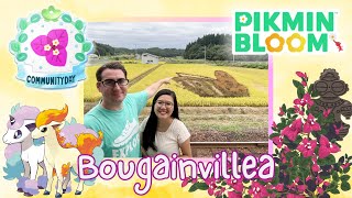 Bougainvillea Community Day September 2024【Pikmin Bloom】 [upl. by Oiramal7]