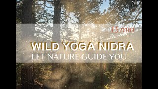 Wild Yoga Nidra  let nature guide you [upl. by Arras]