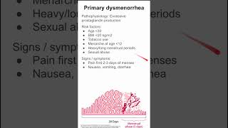 Primary dysmenorrhea [upl. by Laoj808]