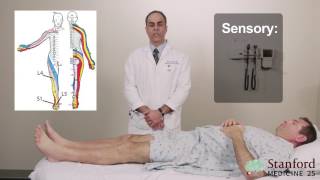 Approach to Low Back Pain Physical Exam  Stanford Medicine 25 [upl. by Retsbew]