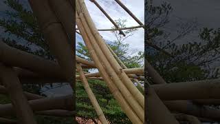 ESTRUCTURA CURVA DE BAMBOO [upl. by Terrel919]