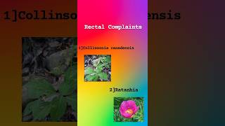 Collinsonia Canadensis and Ratanhia drug Rectal complaints [upl. by Chae]