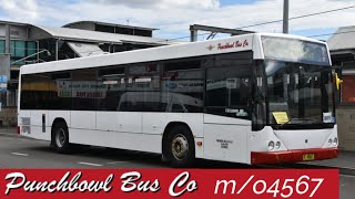 Punchbowl Bus Co mo4567 on T3 Bankstown Line Replacement8T3 [upl. by Aminta681]