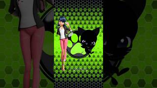 Miraculous Character as a Cat noir🐱miraculous ladybugshorts viraltranding [upl. by Eceirehs924]