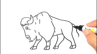 How to DRAW a EASY BISON step by step Learn Wild Animals [upl. by Nodnerb]