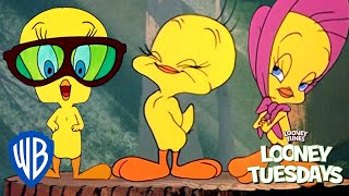 Looney Tuesdays  Tweety an Icon for Everyone  Looney Tunes  WB Kids [upl. by Masao369]